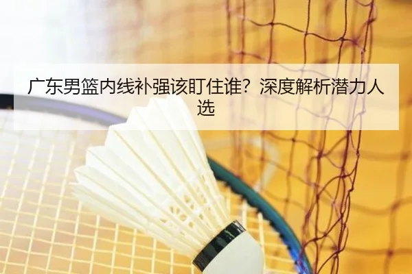 广东男篮内线补强该盯住谁？深度解析潜力人选